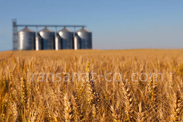 مزایای استفاده از سیلو گندم